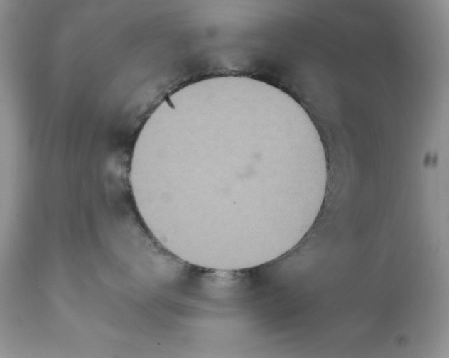 X0000111790672200907301146