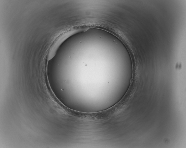 X0000111790673200907301146