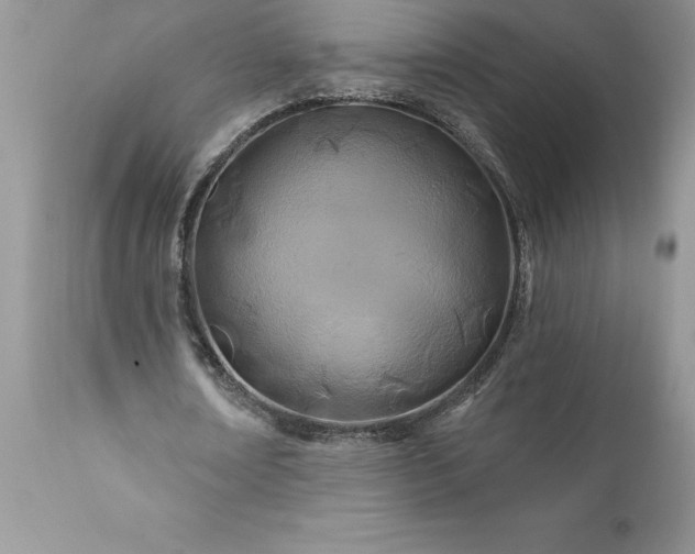 X0000111790674200907301146