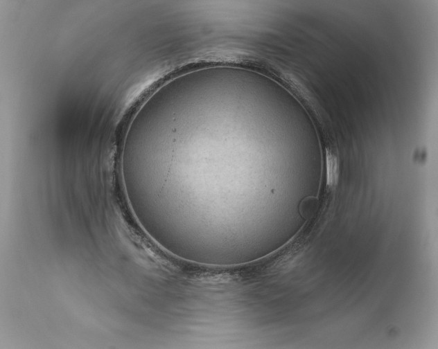 X0000111790675200907301146