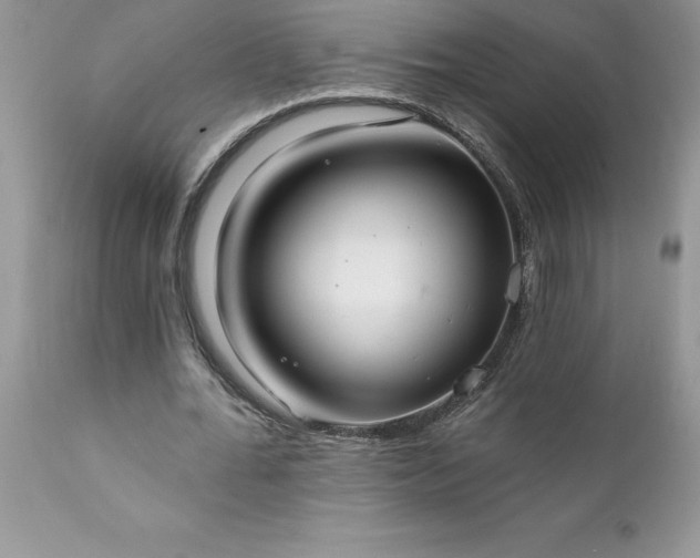 X0000111790676200907301146