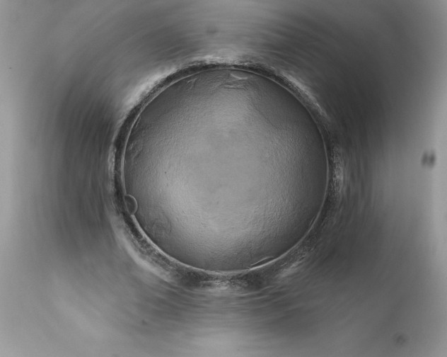 X0000111790678200907301146