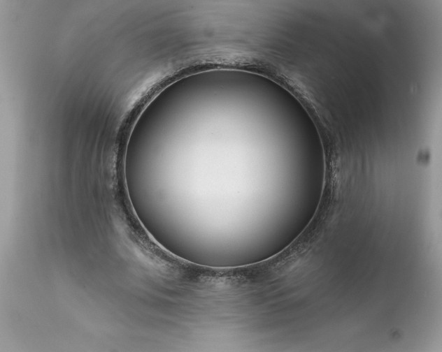 X0000111790679200907301146