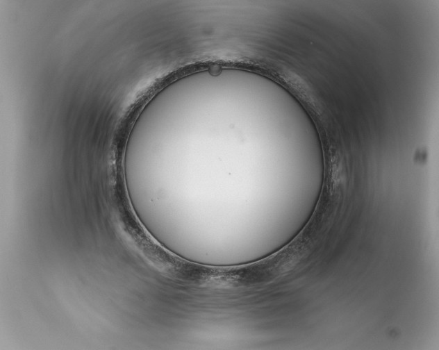 X0000111790680200907301146