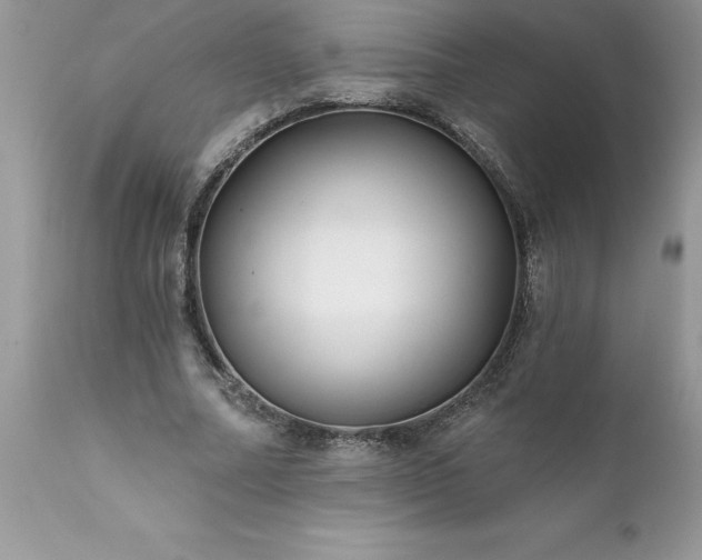 X0000111790682200907301146