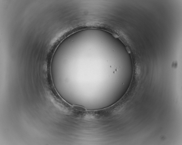 X0000111790684200907301145