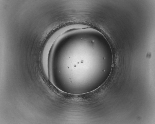 X0000111790685200907301145