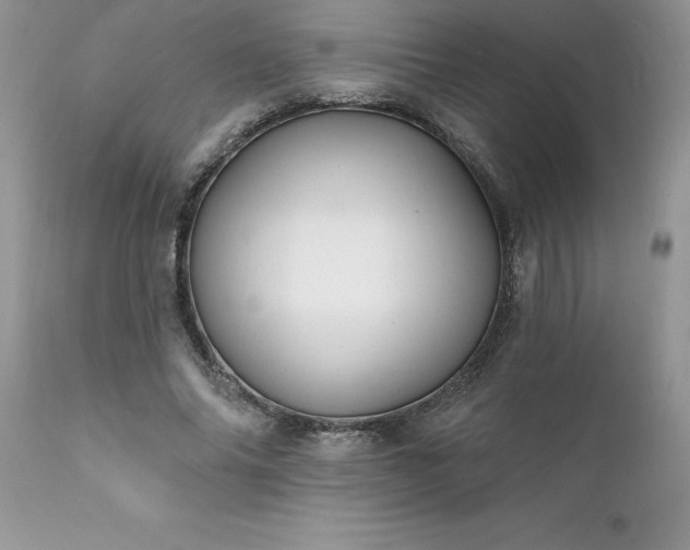 X0000111790686200907301145