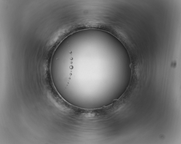 X0000111790687200907301145