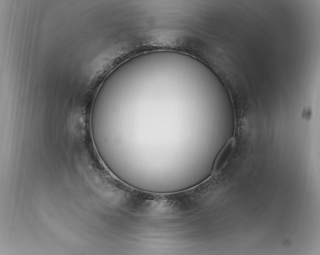 X0000111790688200907301145