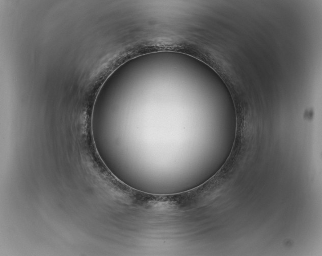 X0000111790689200907301145