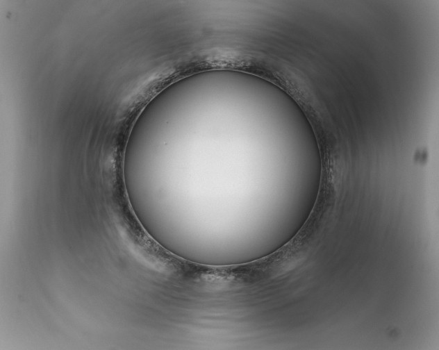 X0000111790690200907301145