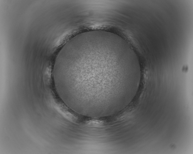 X0000111790691200907301145