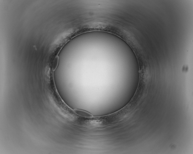 X0000111790692200907301145