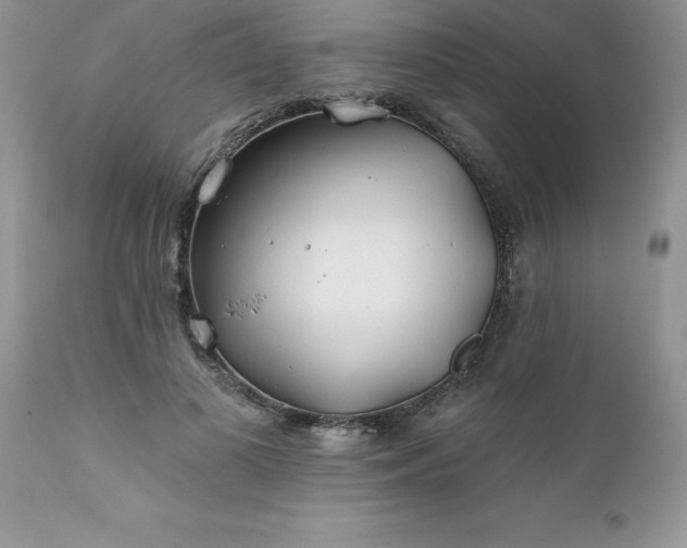 X0000111790693200907301145