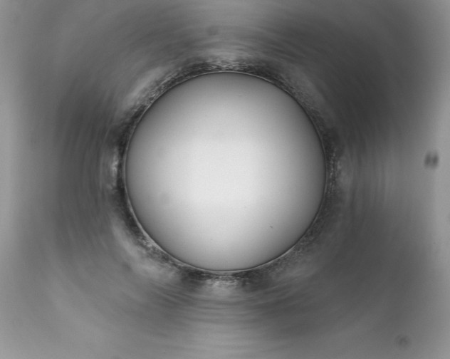 X0000111790694200907301145