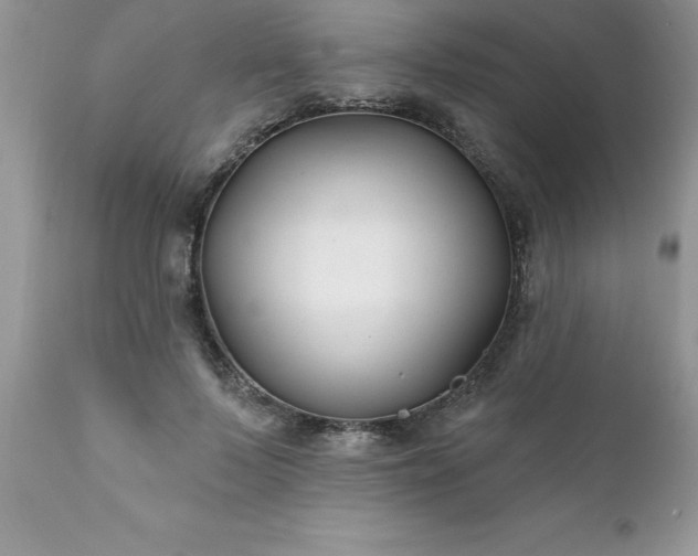 X0000111790695200907301145