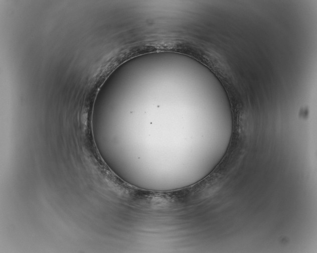 X0000111790697200907301145