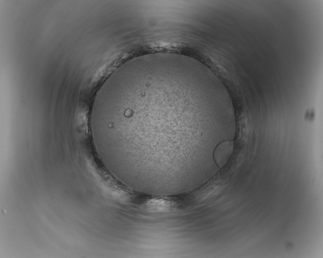 X0000111790699200907301145