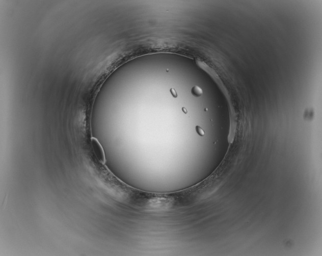 X0000111790700200907301145