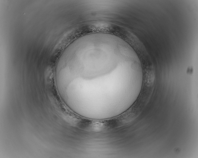 X0000111790701200907301145