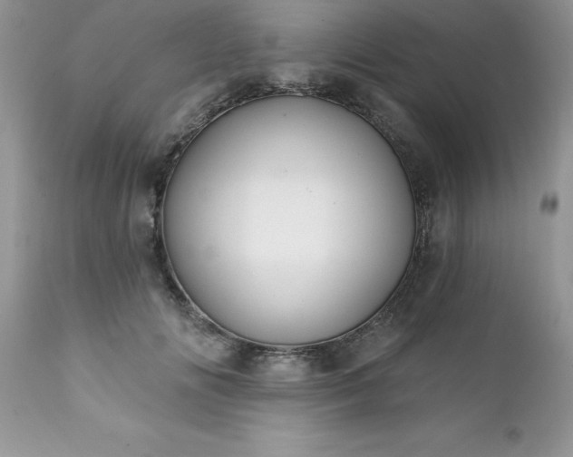 X0000111790702200907301145