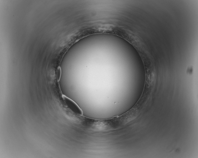 X0000111790704200907301145