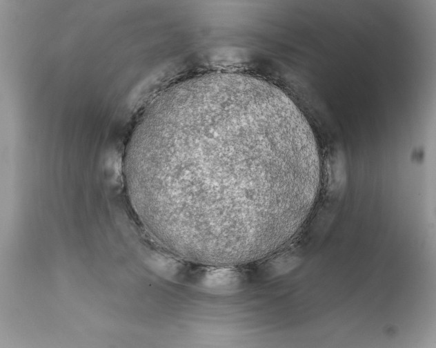 X0000111790705200907301145