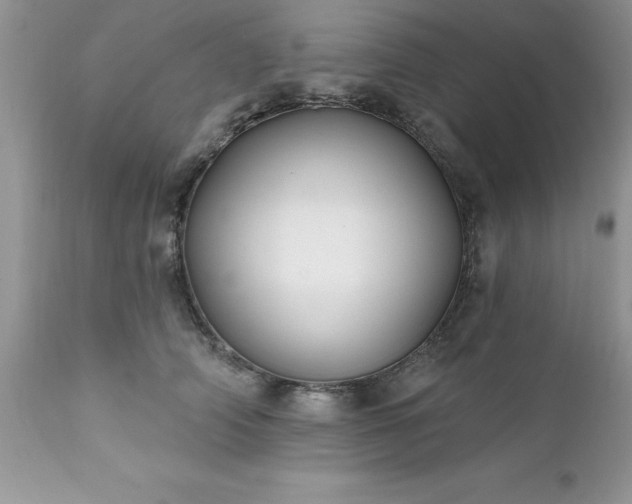 X0000111790706200907301145