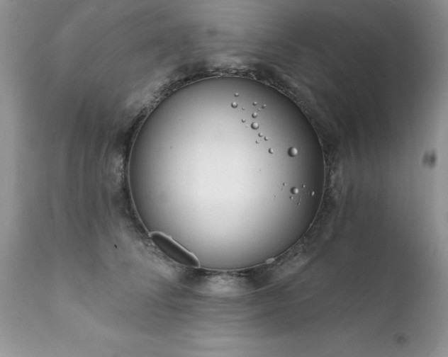 X0000111790708200907301145