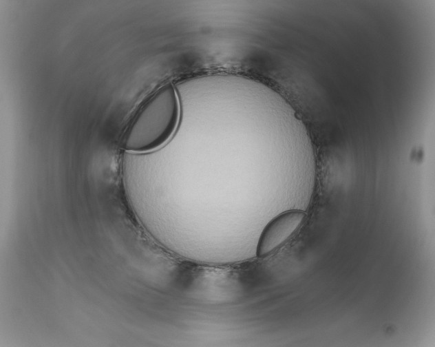 X0000111790709200907301145