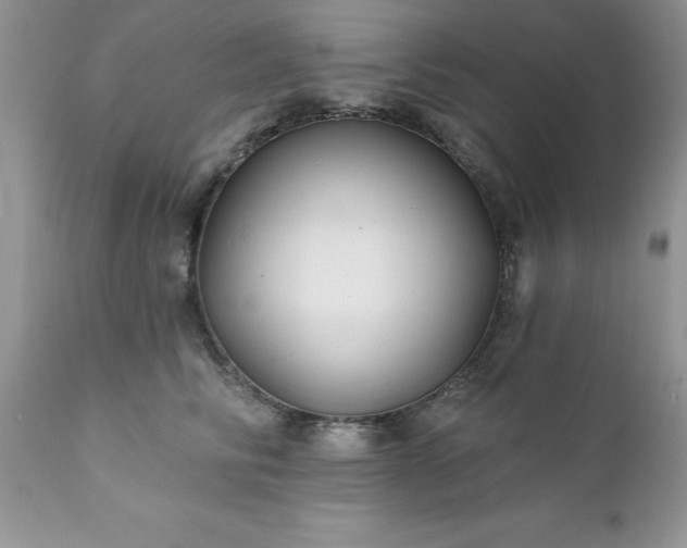 X0000111790710200907301145