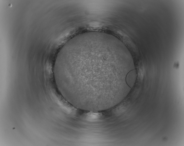 X0000111790711200907301145