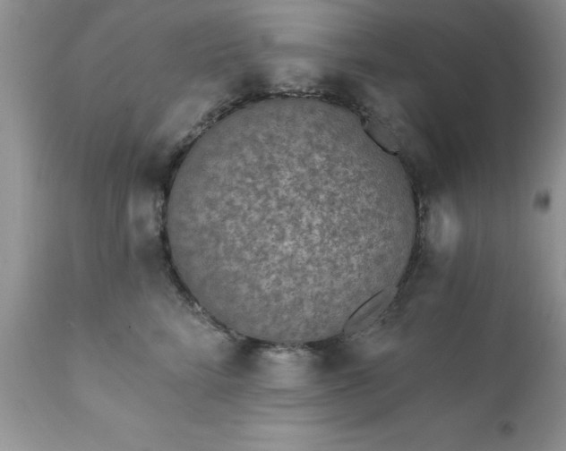 X0000111790712200907301145