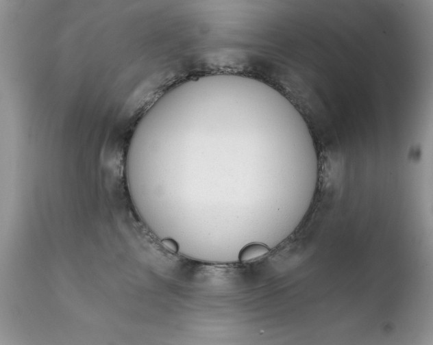 X0000111790713200907301145