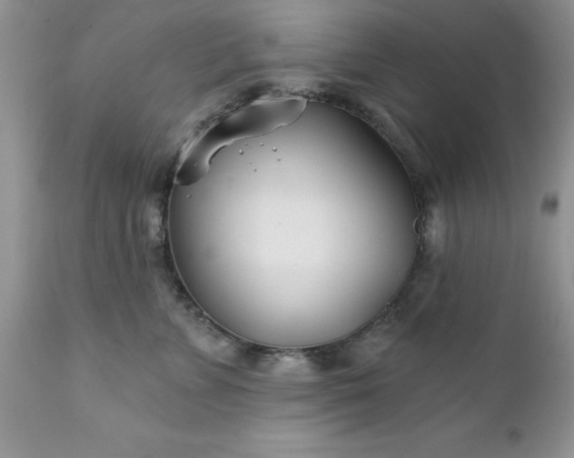 X0000111790715200907301145