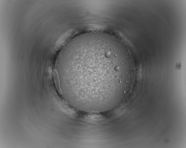 X0000111790716200907301145