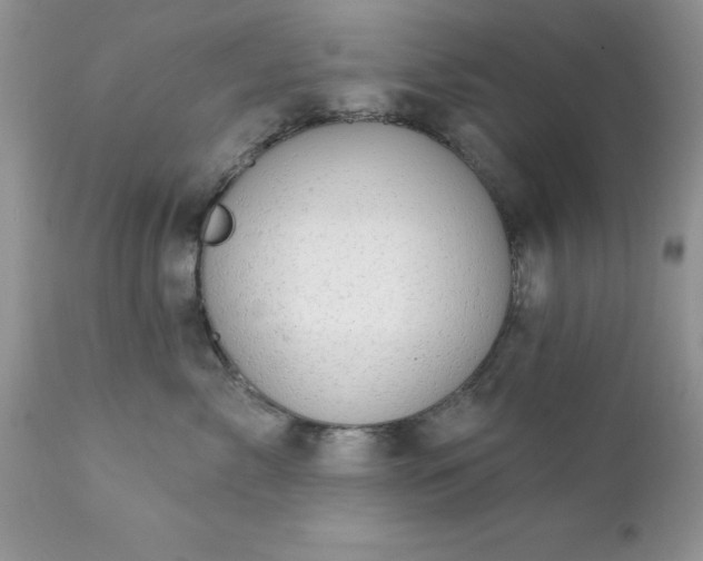 X0000111790717200907301145