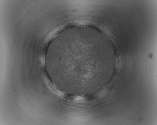 X0000111790718200907301145