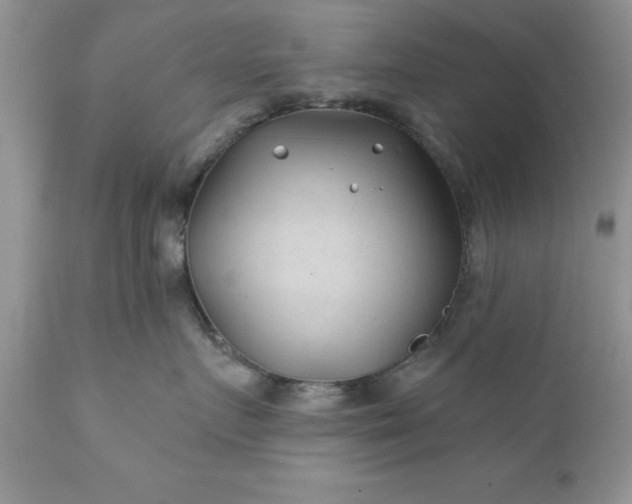 X0000111790719200907301145