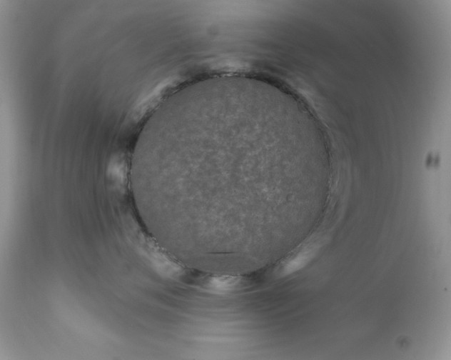 X0000111790720200907301145