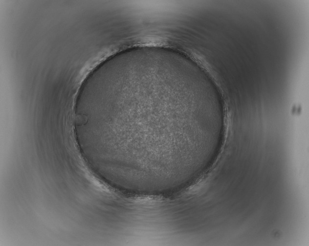 X0000111790721200907301144