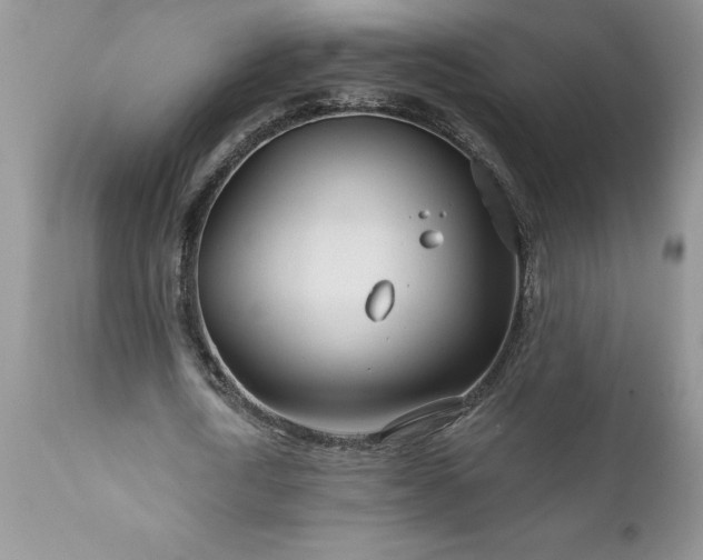 X0000111790722200907301144