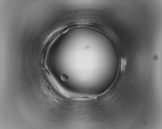 X0000111790723200907301144