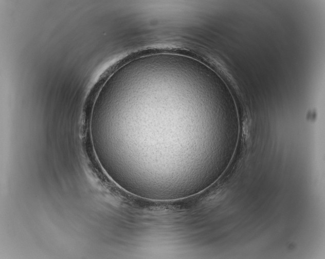 X0000111790724200907301144