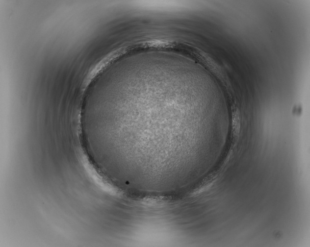 X0000111790725200907301144