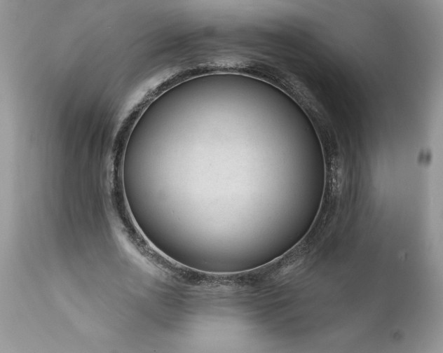 X0000111790726200907301144