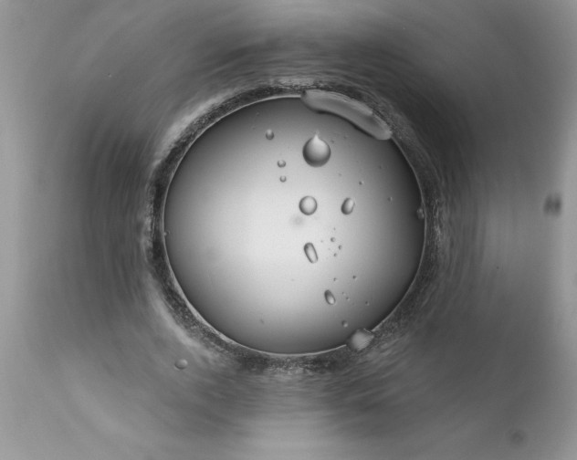 X0000111790728200907301144