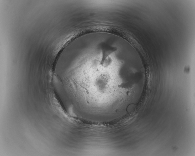 X0000111790729200907301144