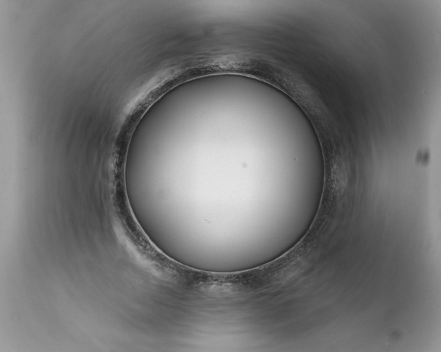 X0000111790730200907301144